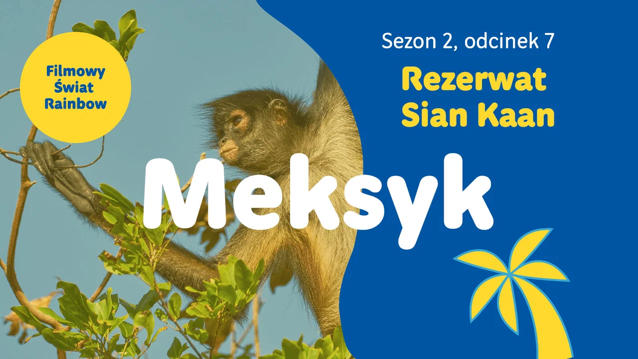 Okładka filmu
