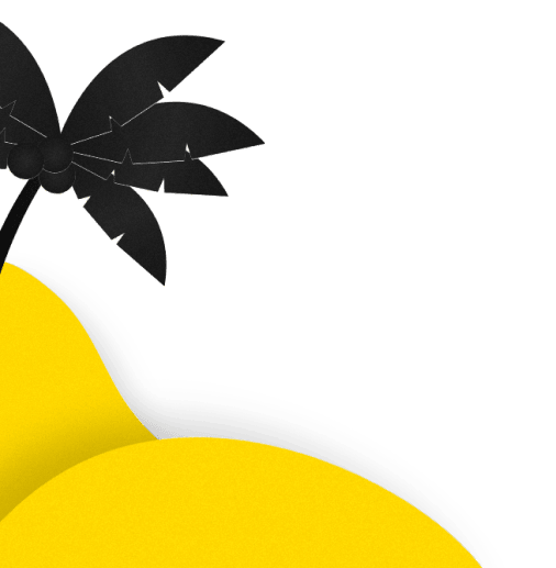 palma i wydmy