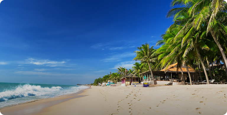 Piaszczysta plaża z palmami w Mui Ne