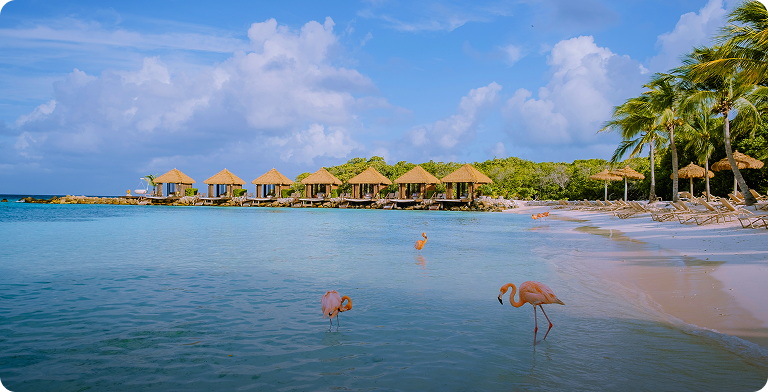 Karaiby - Aruba